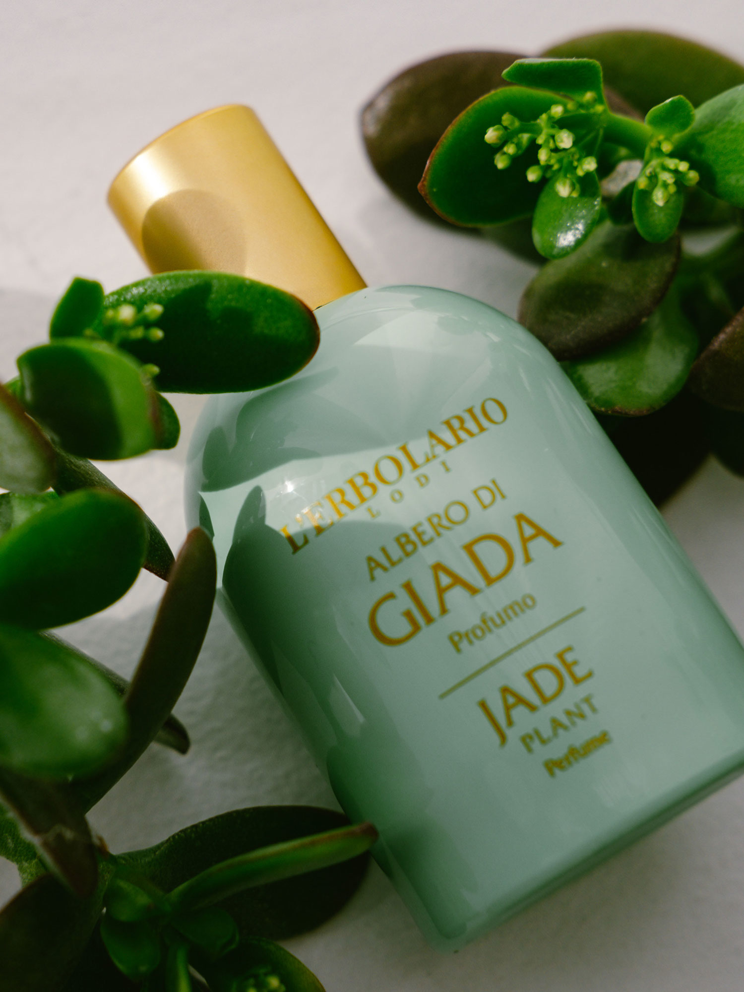 Albero di Giada（アルベロ ディ ジャーダ）｜パフューム 50ml ｜L'ERBOLARIO（レルボラリオ）公式オンラインストア