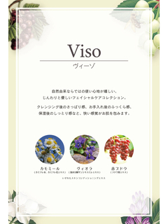 Viso(ヴィーゾ) |ホワイト＆グリーンクレイ フェイスマスク 50ml
