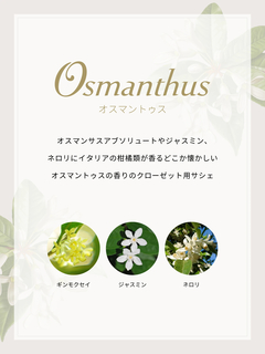 Osmanthus(オスマントゥス) |パフュームドキャンドル 140g