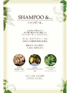 Shampoo＆．．．(シャンポー＆…) |プロテクティブシャンプー フォー カラードヘア 200ml