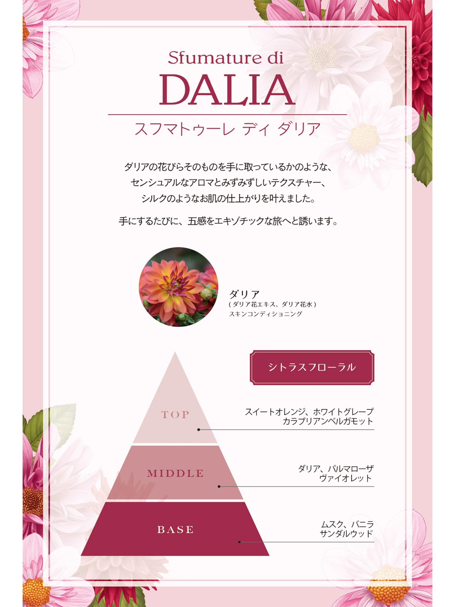 Sfumature di Dalia（スフマトゥーレ ディ ダリア）｜パフュームド