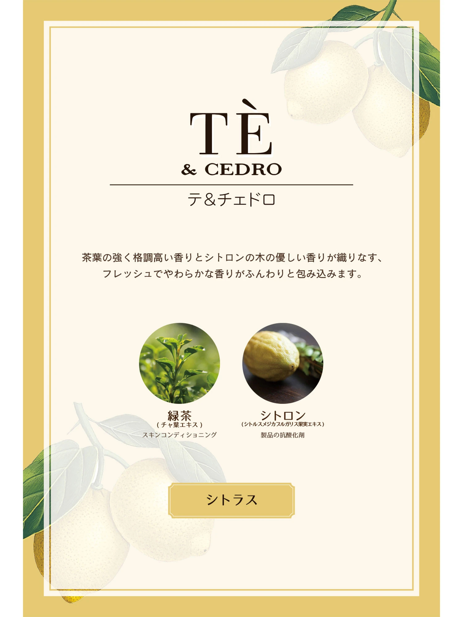 Te e Cedro（テ＆チェドロ）｜シャワージェル 250ml ｜L