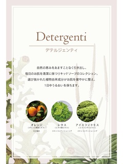 Detergenti(デテルジェンティ) |シトラス フレッシュフォーム 500ml