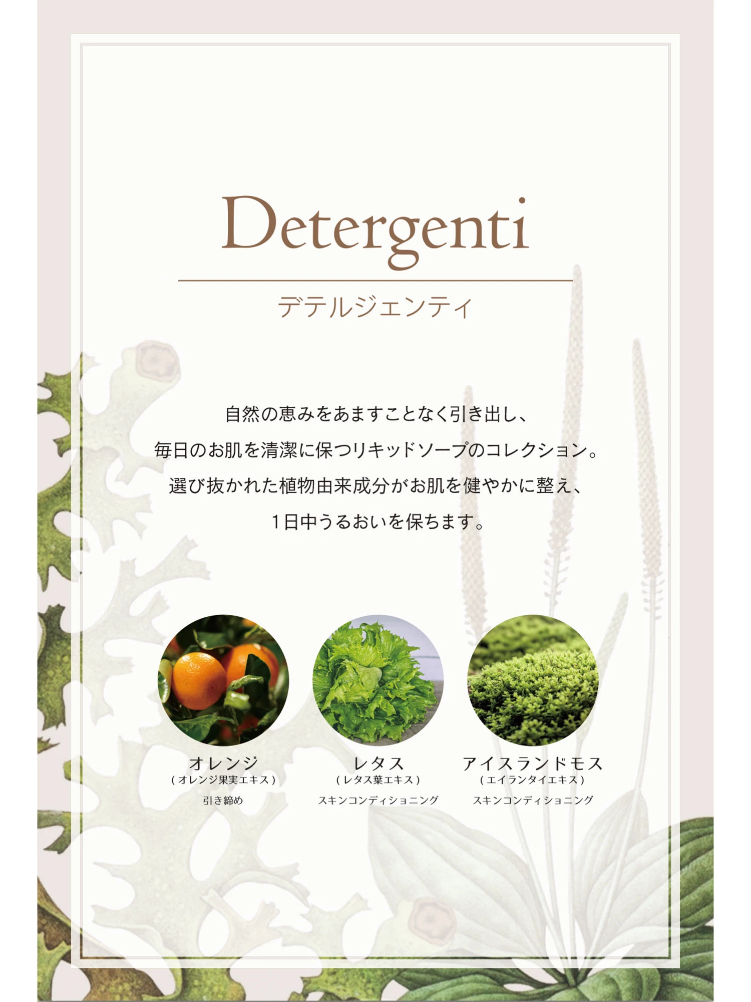 Detergenti（デテルジェンティ）｜シトラス フレッシュフォーム 500ml ｜L'ERBOLARIO（レルボラリオ）公式オンラインストア