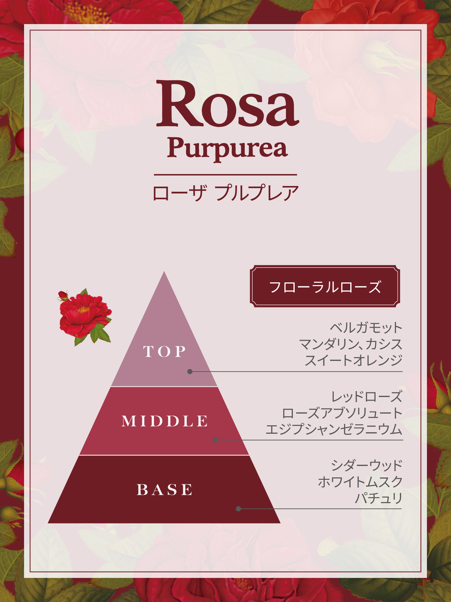 Rosa Purprea（ローザ プルプレア）｜パフュームドソープ 100g