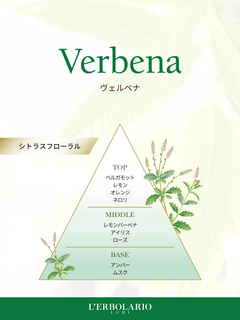 Verbena(ヴェルベナ) |パフューム 50ml